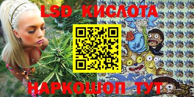 стафф Будённовск