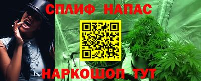 стафф Будённовск