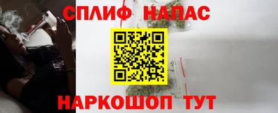 шишки Бузулук