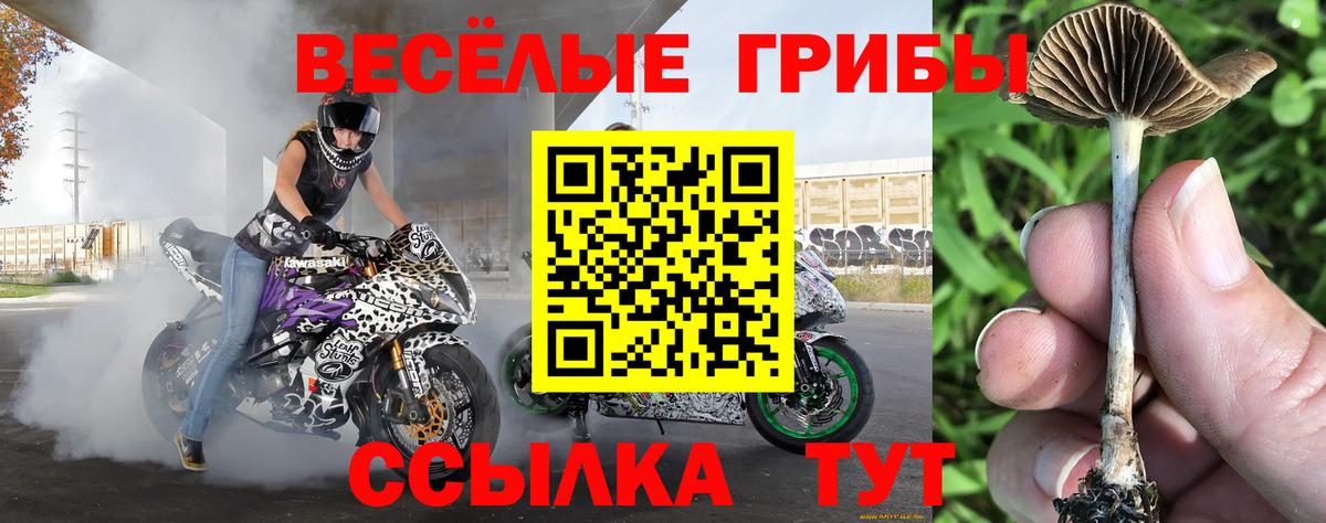 Галлюциногенные грибы мухоморы Полысаево